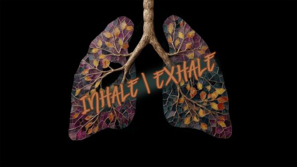 Part 2 - The Echo of the Heart Image